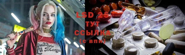 стаф Зерноград